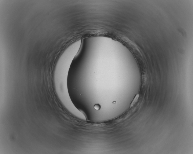 X0000114440517200911061706