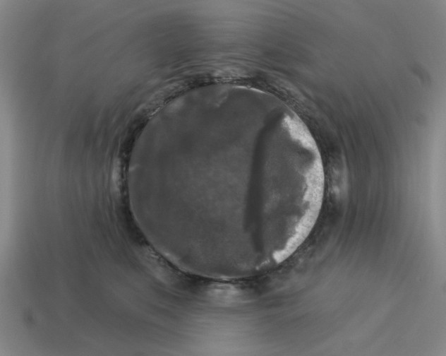 X0000114440519200911061706