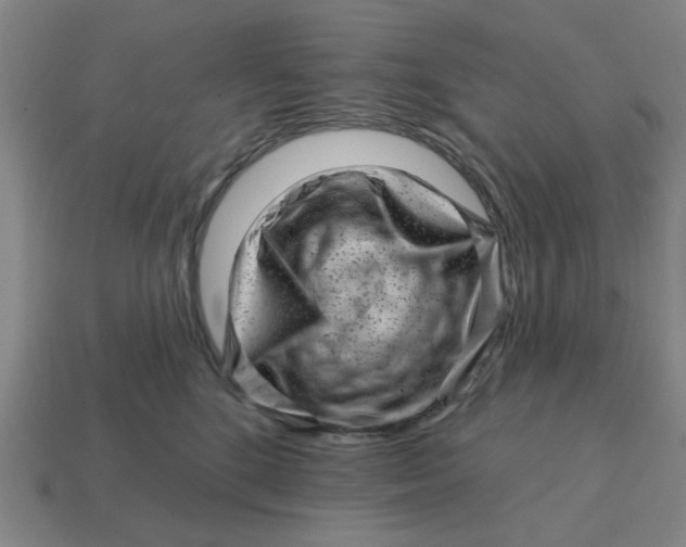 X0000114440520200911061706