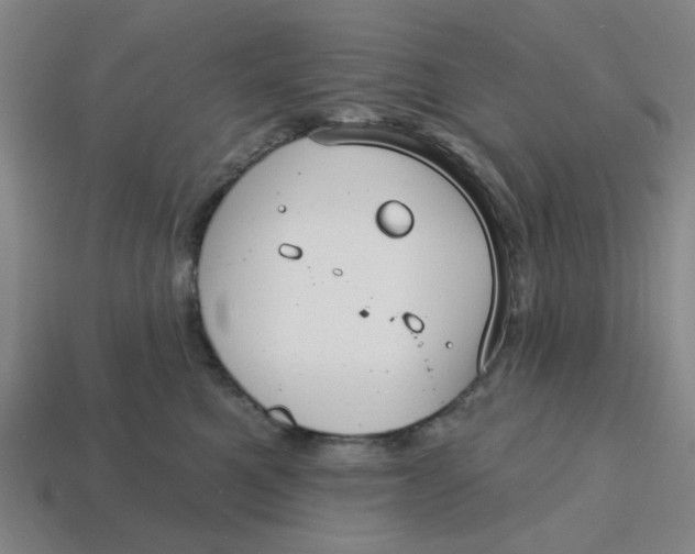 X0000114440521200911061706