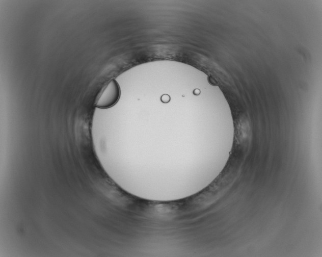 X0000114440522200911061706