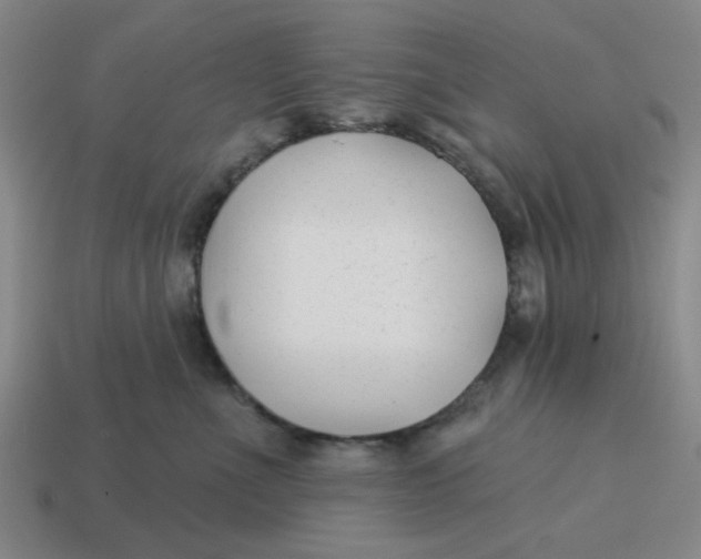 X0000114440523200911061706