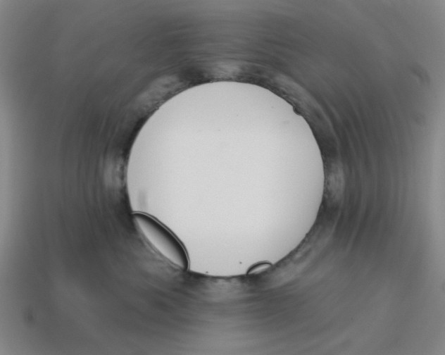 X0000114440525200911061706