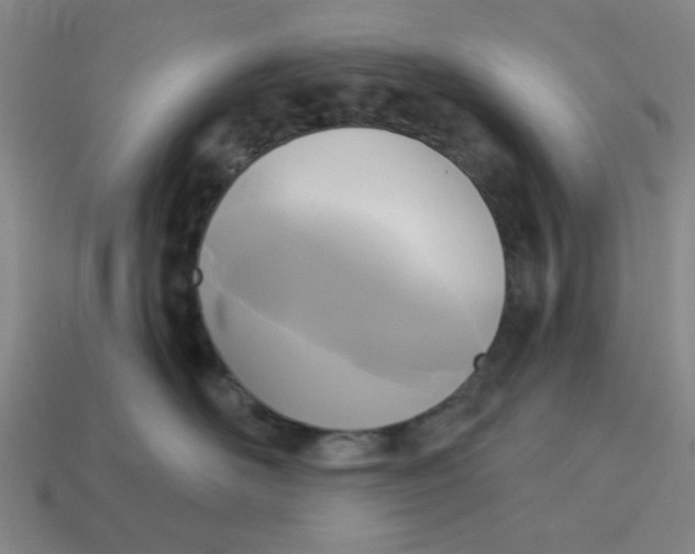 X0000114440526200911061706