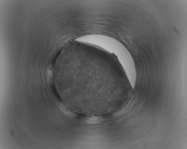 X0000114440527200911061706