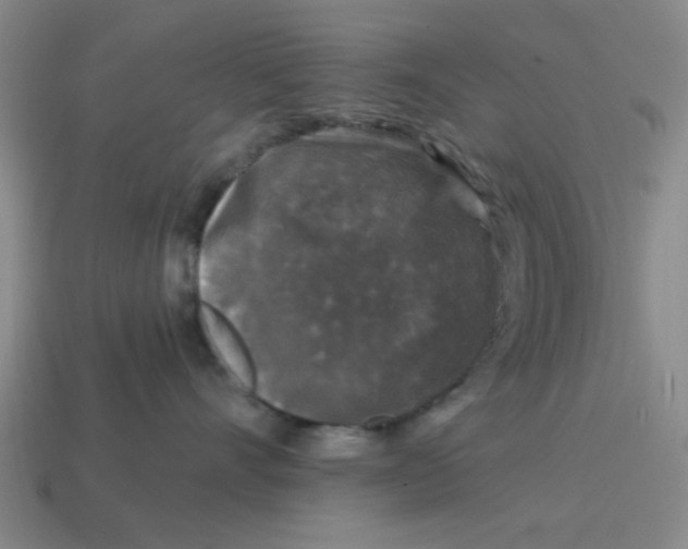 X0000114440528200911061706