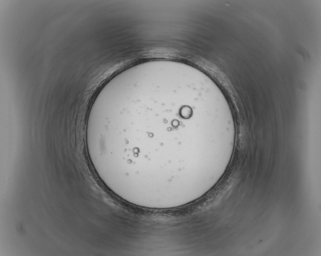 X0000114440529200911061706