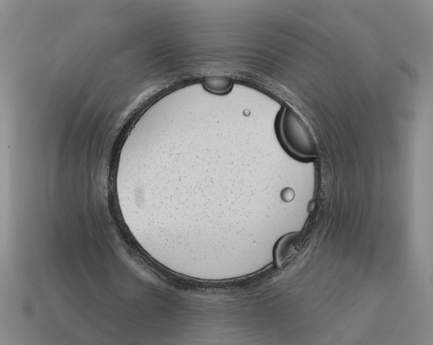 X0000114440530200911061706