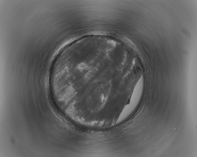 X0000114440531200911061706