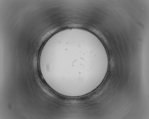 X0000114440533200911061706