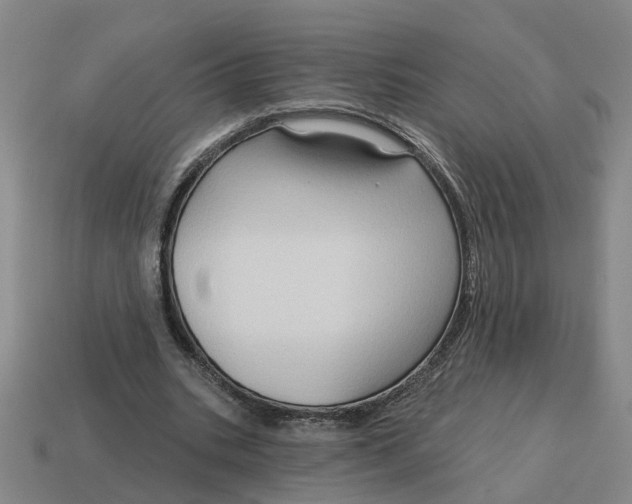 X0000114440535200911061706