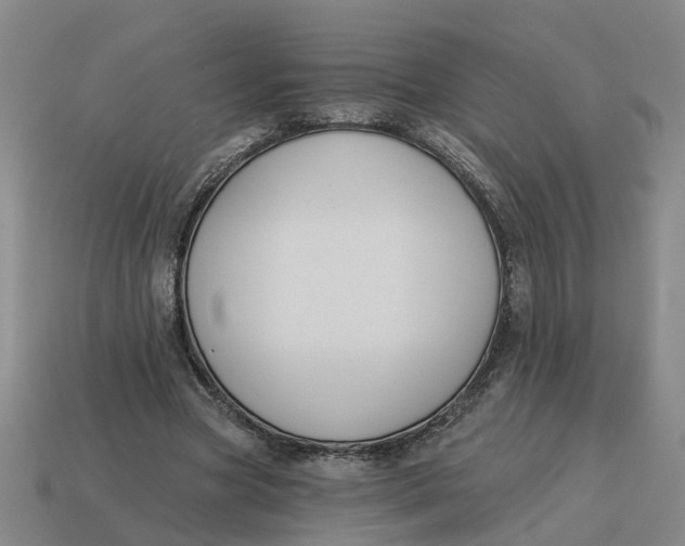 X0000114440537200911061706