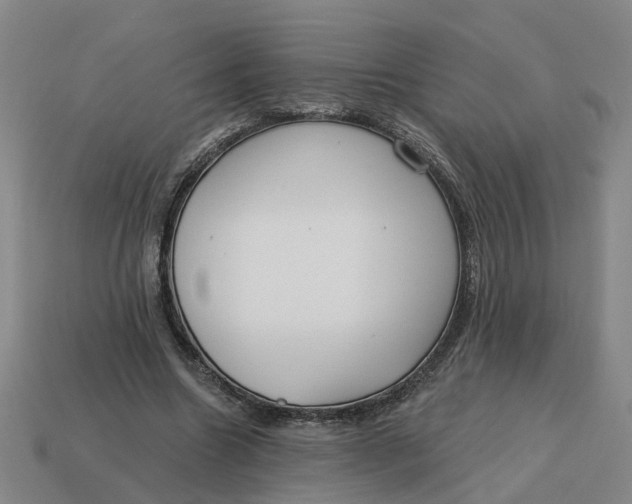 X0000114440538200911061706