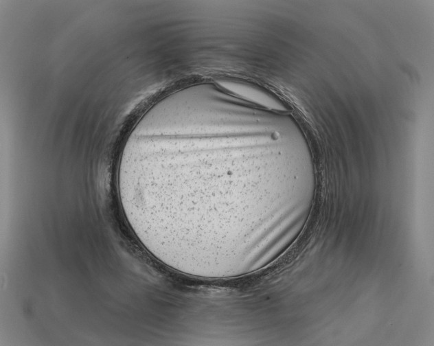 X0000114440539200911061706