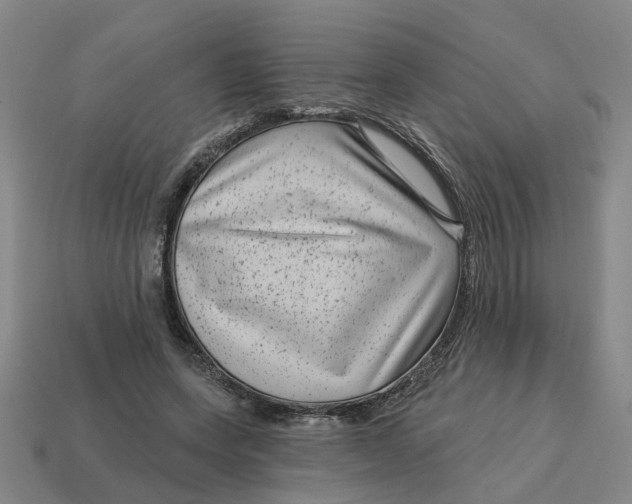 X0000114440543200911061706