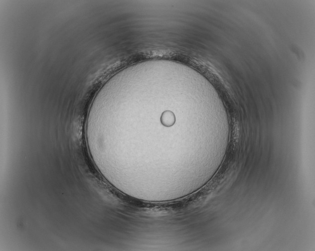 X0000114440545200911061706