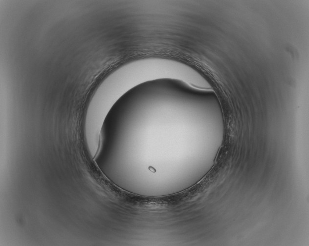 X0000114440546200911061706