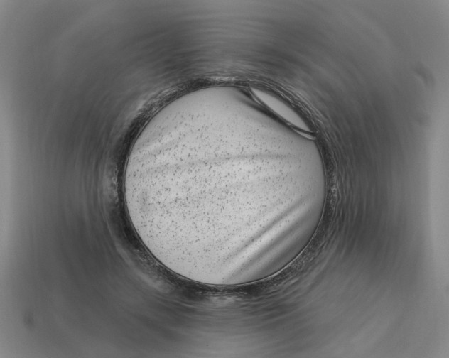 X0000114440547200911061706