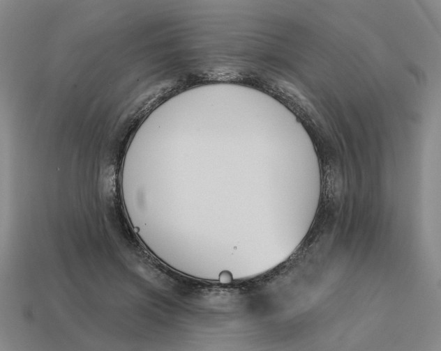 X0000114440549200911061706