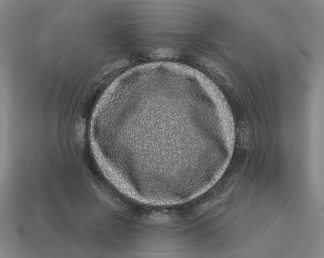 X0000114440550200911061706