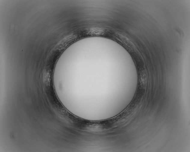 X0000114440551200911061706