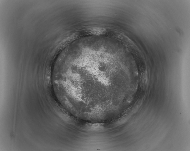 X0000114440553200911061706