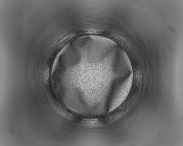 X0000114440554200911061706