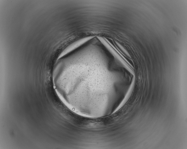 X0000114440555200911061706