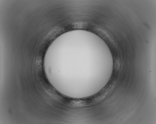 X0000114440557200911061706