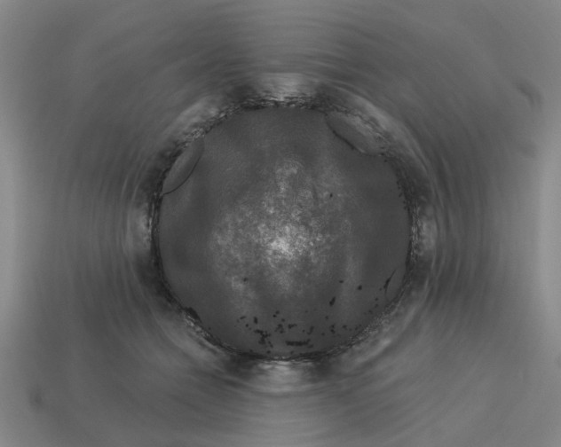 X0000114440558200911061706