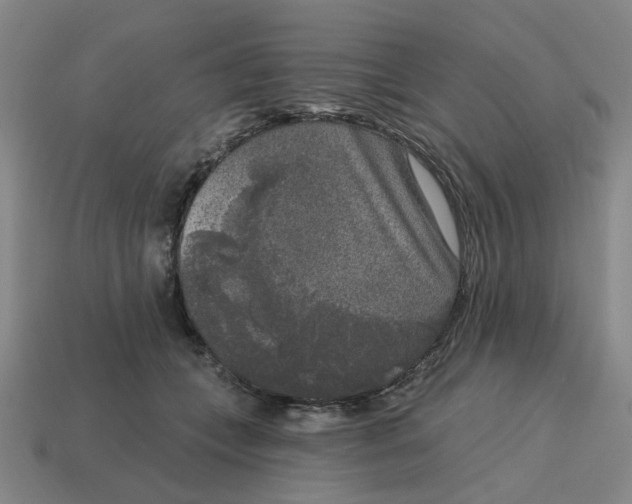 X0000114440559200911061706