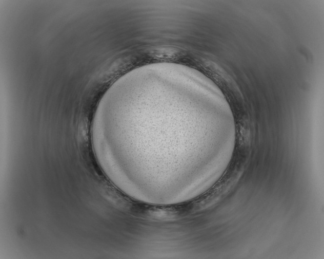 X0000114440561200911061706