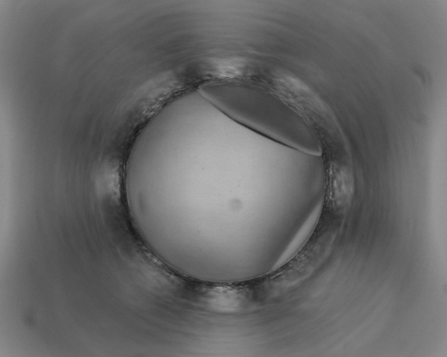 X0000114440562200911061706