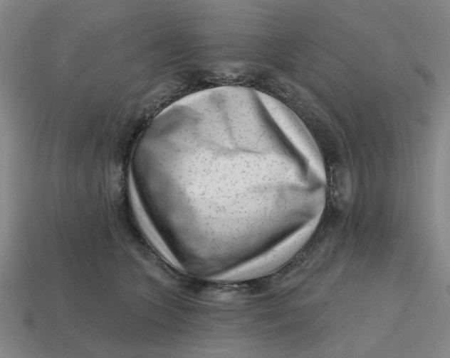 X0000114440563200911061706