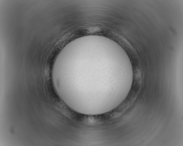 X0000114440565200911061706