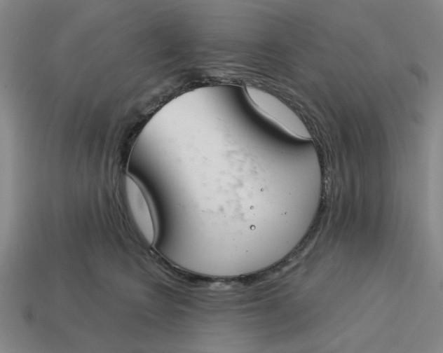 X0000114440566200911061706