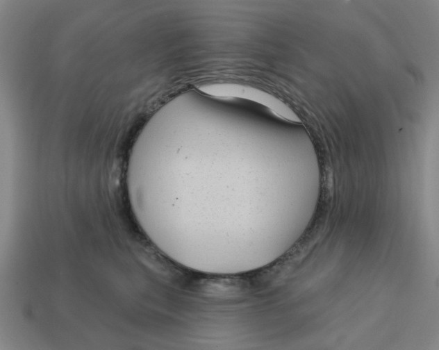 X0000114440567200911061706