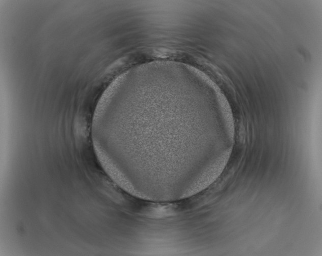 X0000114440569200911061706