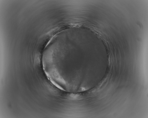 X0000114440570200911061706