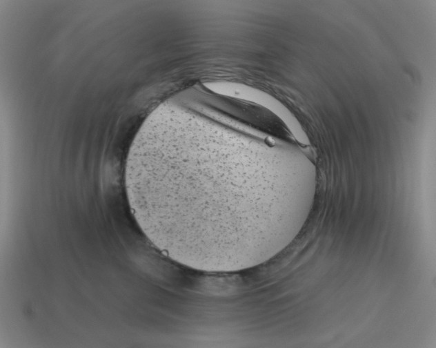 X0000114440571200911061706