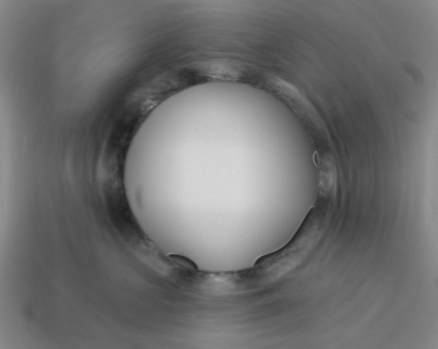 X0000114440573200911061706