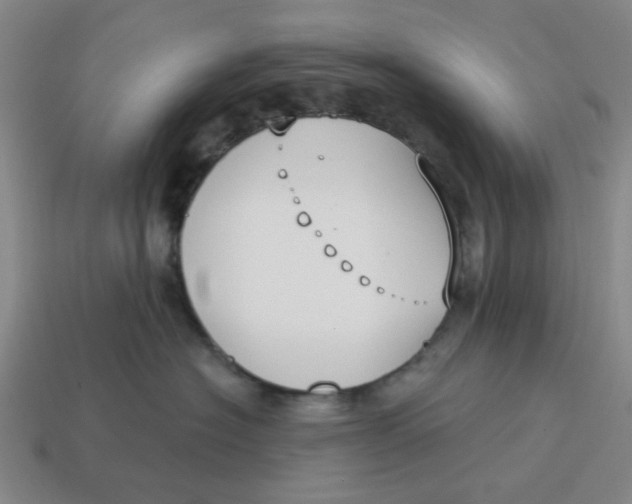 X0000114440574200911061706