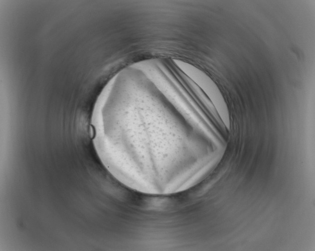 X0000114440575200911061706