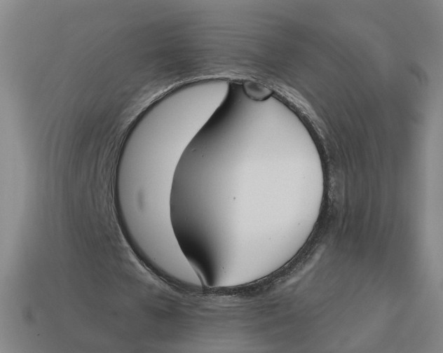 X0000114440577200911061706