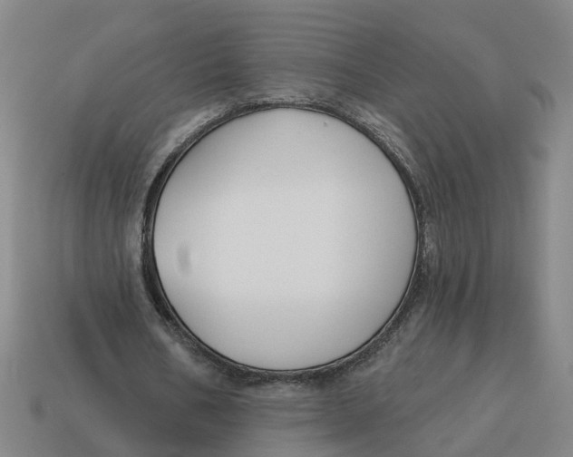 X0000114440578200911061706