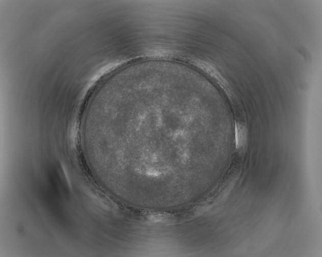 X0000114440579200911061705