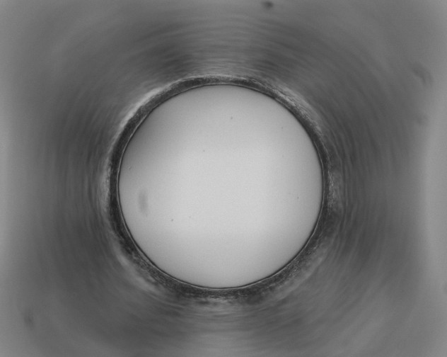 X0000114440580200911061705