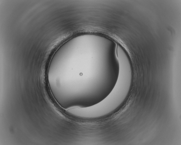 X0000114440581200911061705