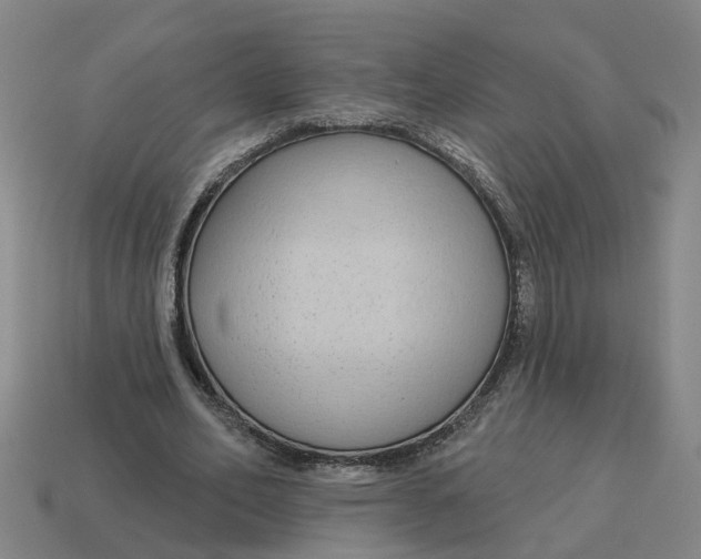 X0000114440582200911061705