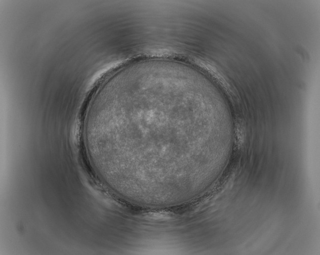 X0000114440583200911061705